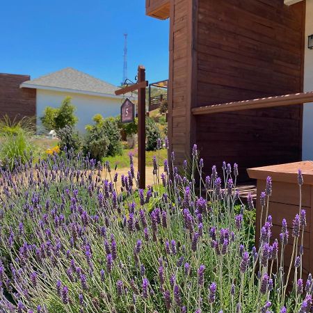 Entrevalle Hotel Boutique Valle de Guadalupe Exterior foto