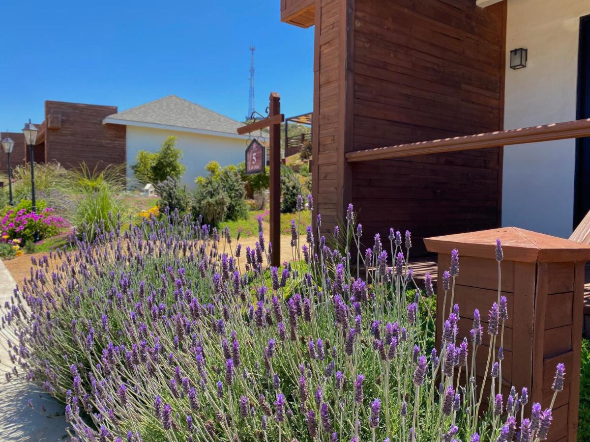 Entrevalle Hotel Boutique Valle de Guadalupe Exterior foto